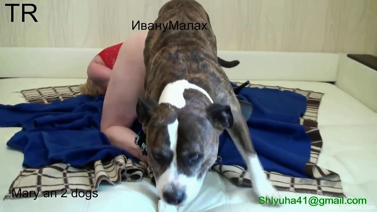 MILF with a bloody pussy getting drilled by a dog