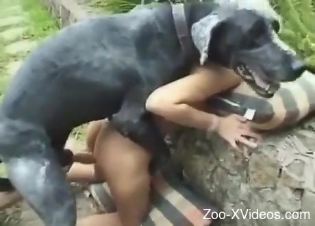 Special treat for the curvy wife in outdoor zoophilia XXX