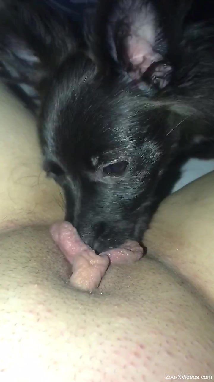 Horny female feels amazing with her small dog licking her like that