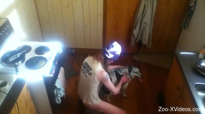 Aroused man filmed in homemade scenes fucking a dog in the ass