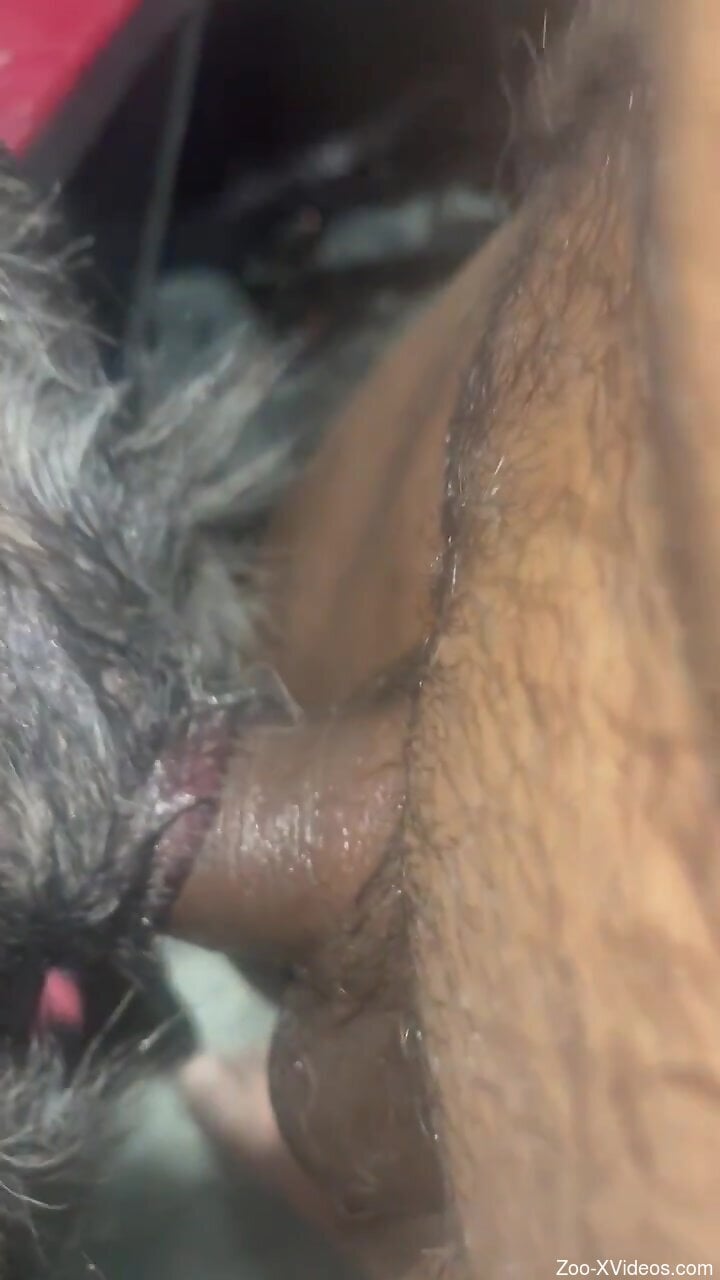 Guy is featured in a closeup porn movie with gape