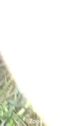 Dude's dick punishing a very pretty-looking pussy