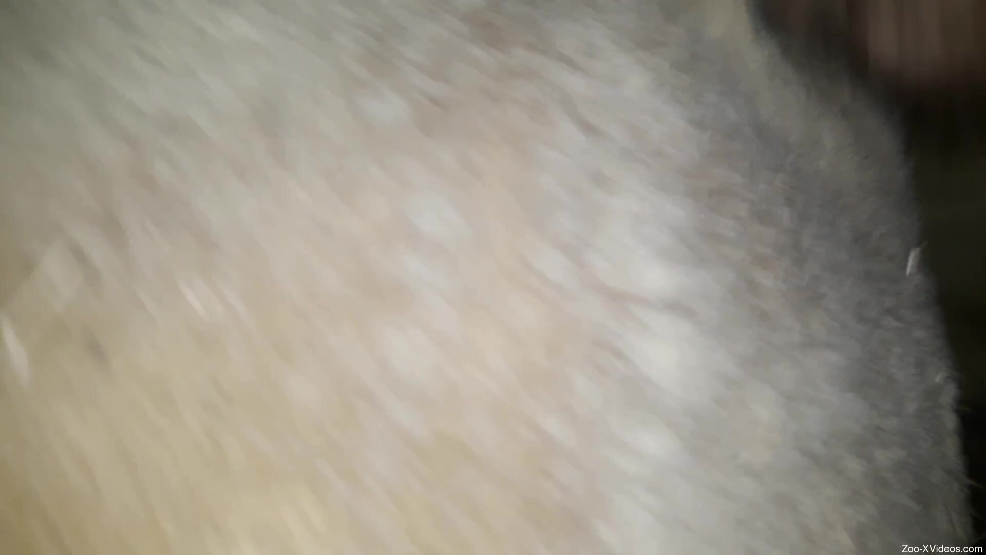 Guy showing the way he fucks beast with his cock