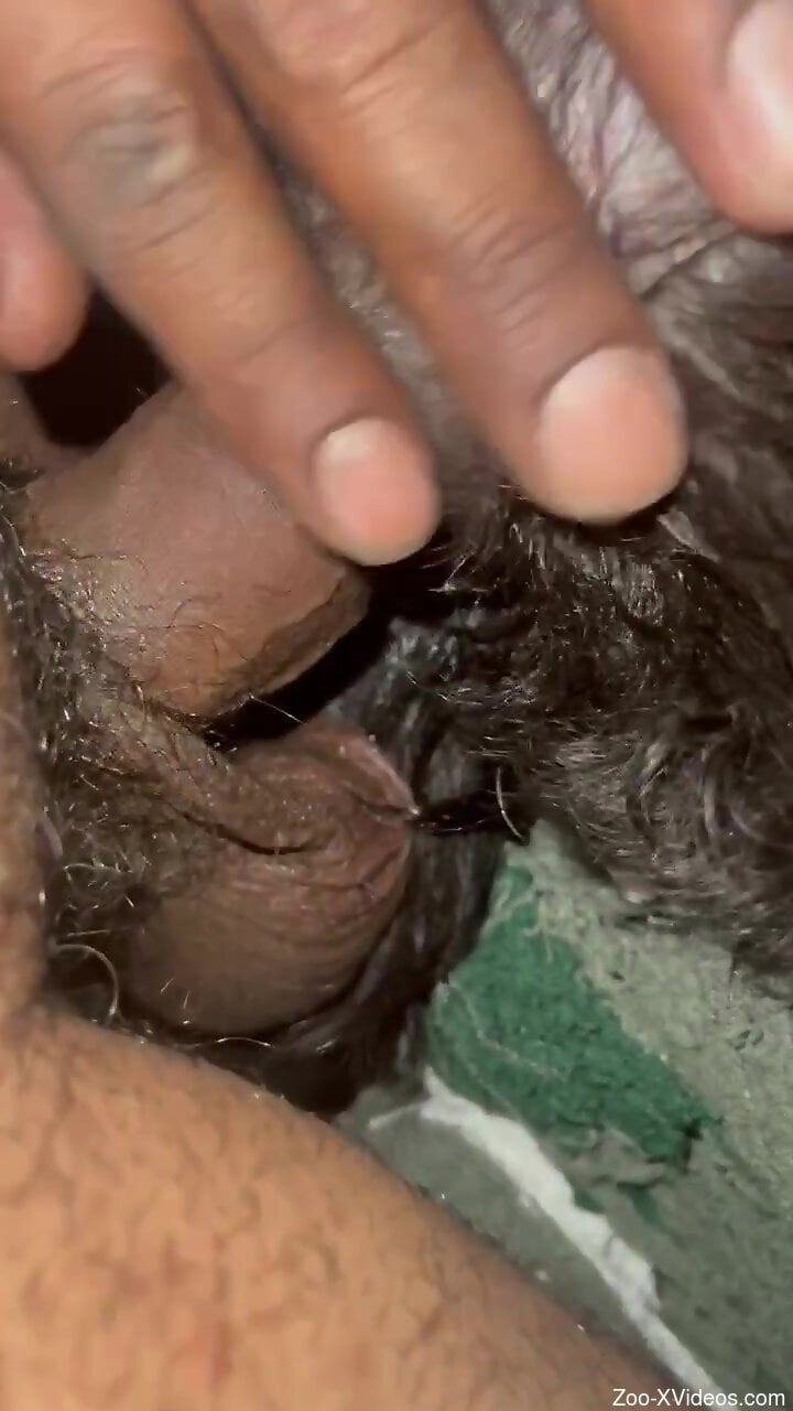 Hot guy is going to use veiny dick for pleasure