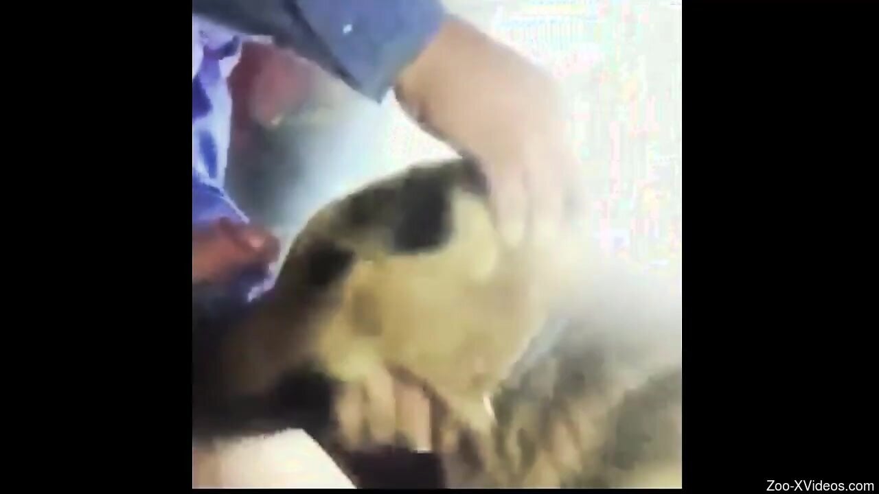 Man inserts whole dick in the dog's mouth for pleasure