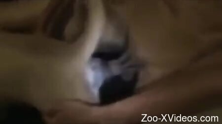 Guy uses his colossal cock to fuck the beast too