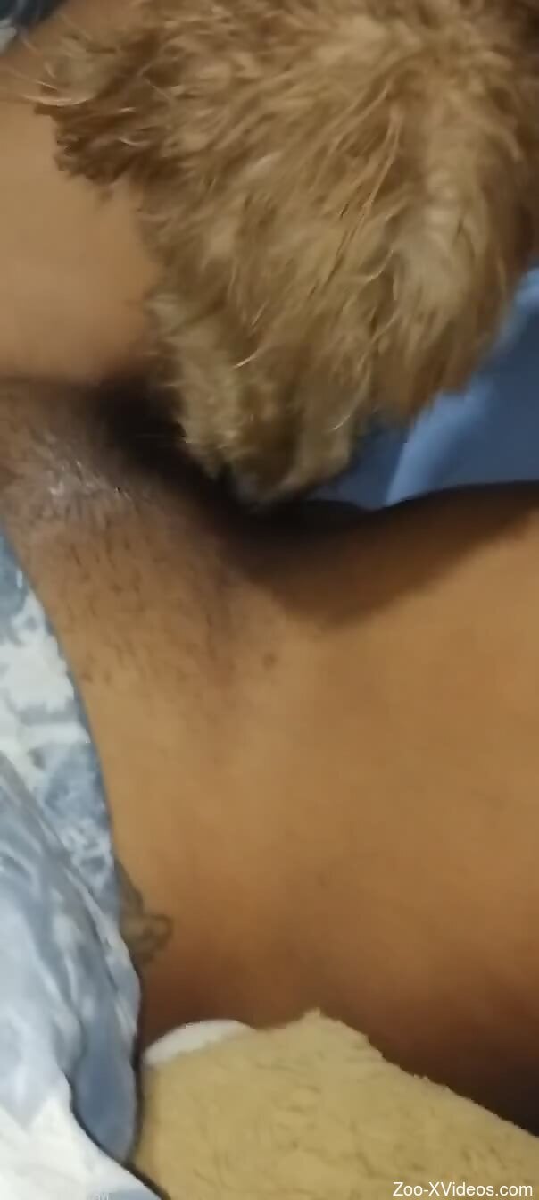 Dog makes woman feel like in heaven by licking her muff
