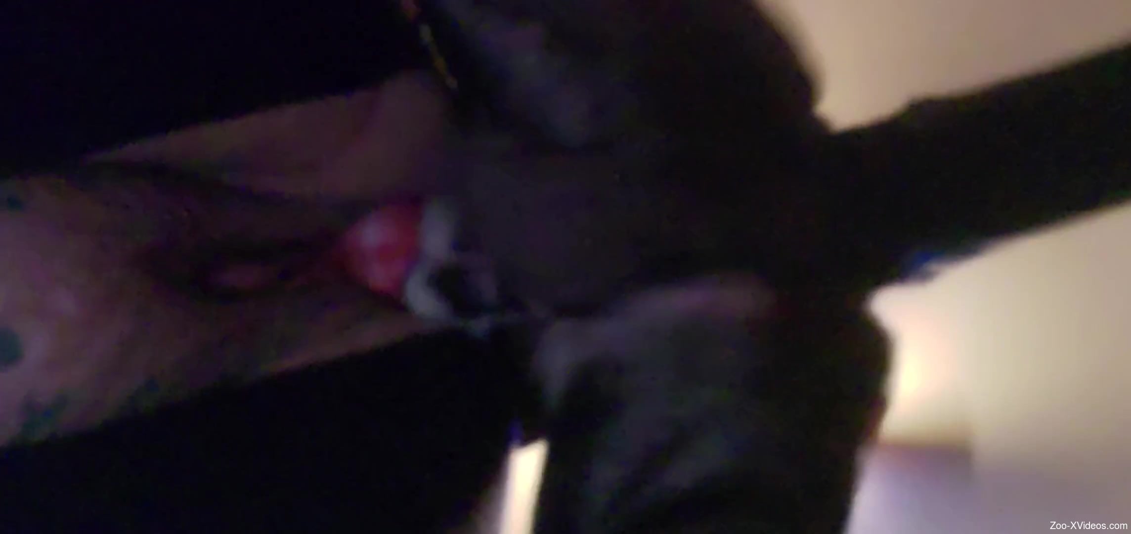 Energized woman feels great during sex with a dog