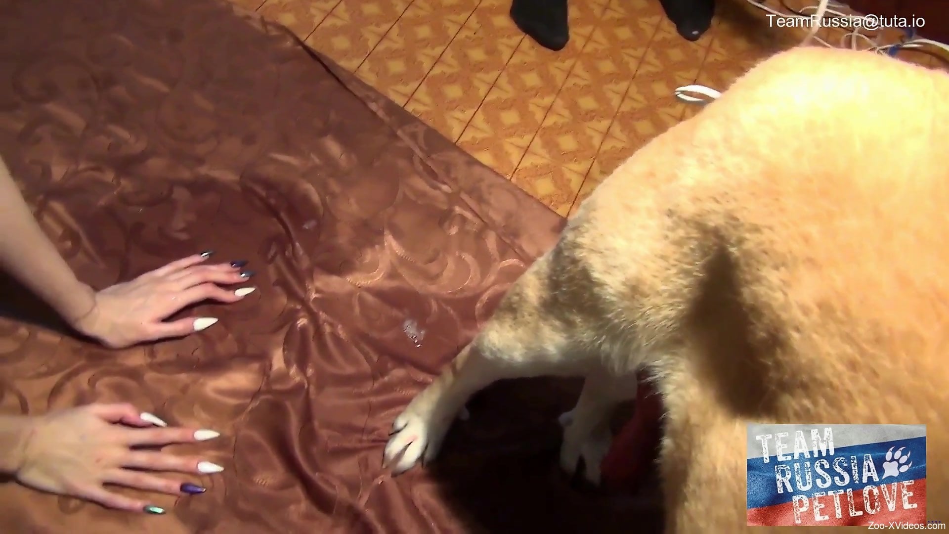 Russian brunette Olga satisfying two dogs at once