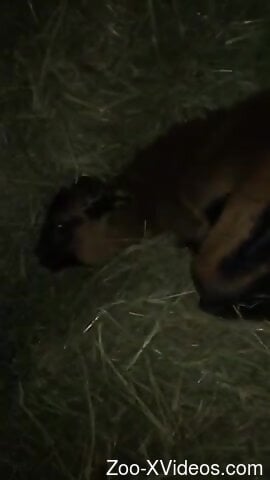 Guy is going to slide in and out of that hole