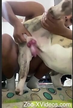 Busty beauty craves the dog's hefty penis for naughty fun