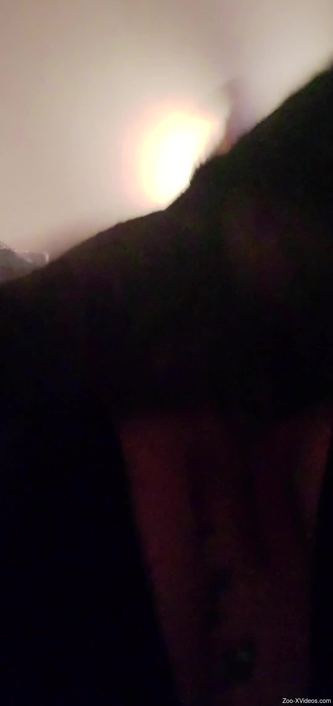 Midnight zoophilia for a nude woman with dirty desires