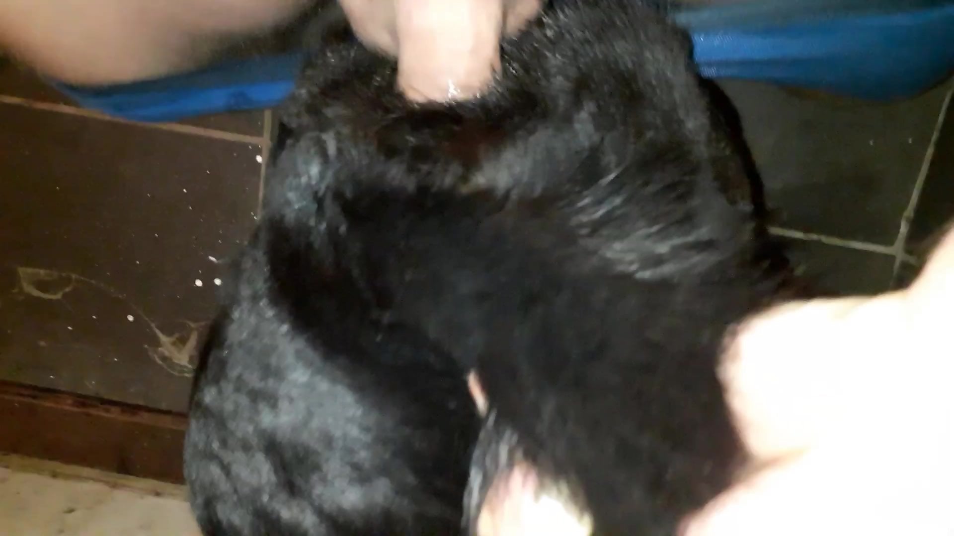 Dude using his shaved cock to make the dog cum