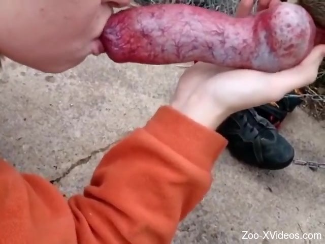 Hot lady kissing all over that juicy dog penis