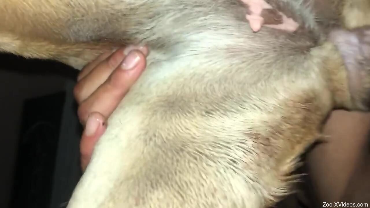Dude impales a sexy dog on his huge boner too