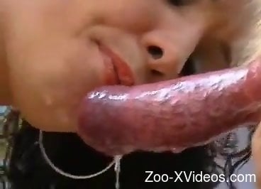 Busty woman loves the porn action with her Husky dog