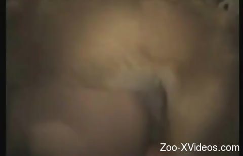 Socks-wearing hottie getting fucked and filled with cum