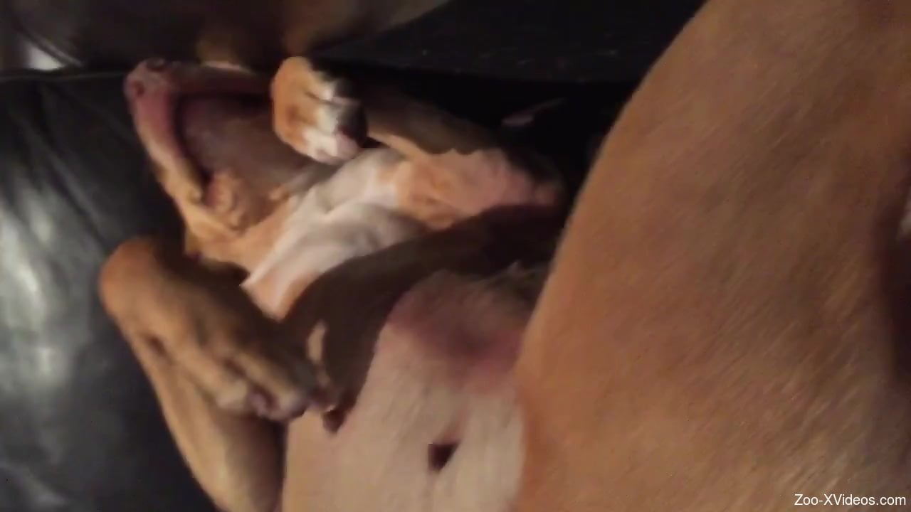 Dude using two fingers to fuck that tight dog hole