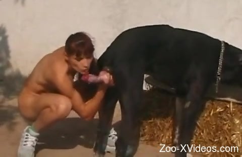 Sexy broad shows off throating the dog's dick like a slut