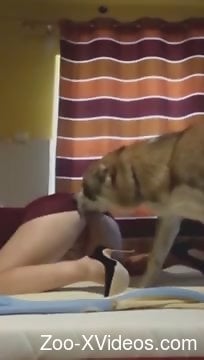 Saucy mommma showing her wet pussy to a horny dog