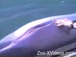 Man makes sea animal horny with gentle touches all over his body