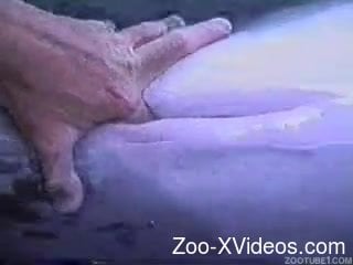 Zoophile gently shoves his fingers into hole of sea animal