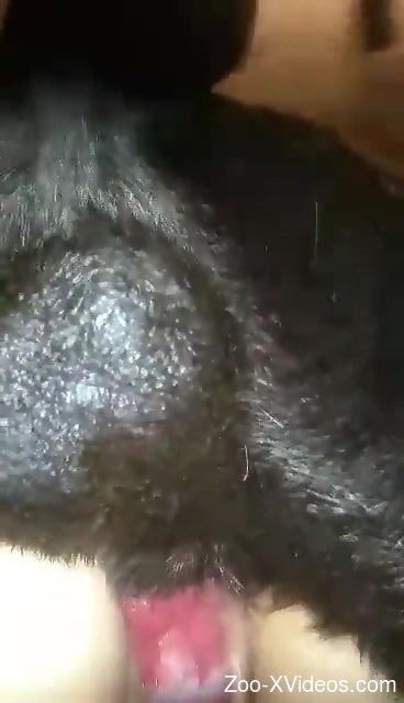 Brunette with a hot body is going to get fucked silly