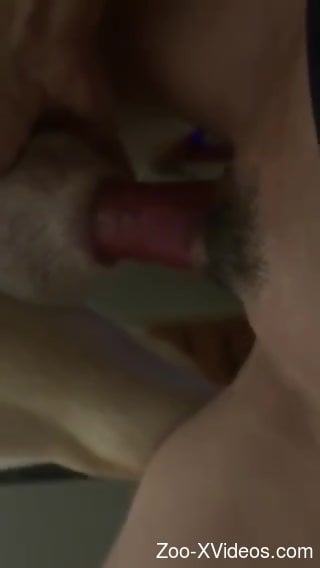 Guy with cute pubes fucking a dog with passion