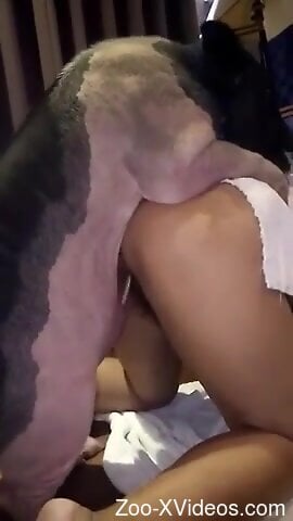 Pig makes naked woman moan by fucking her cunt from behind