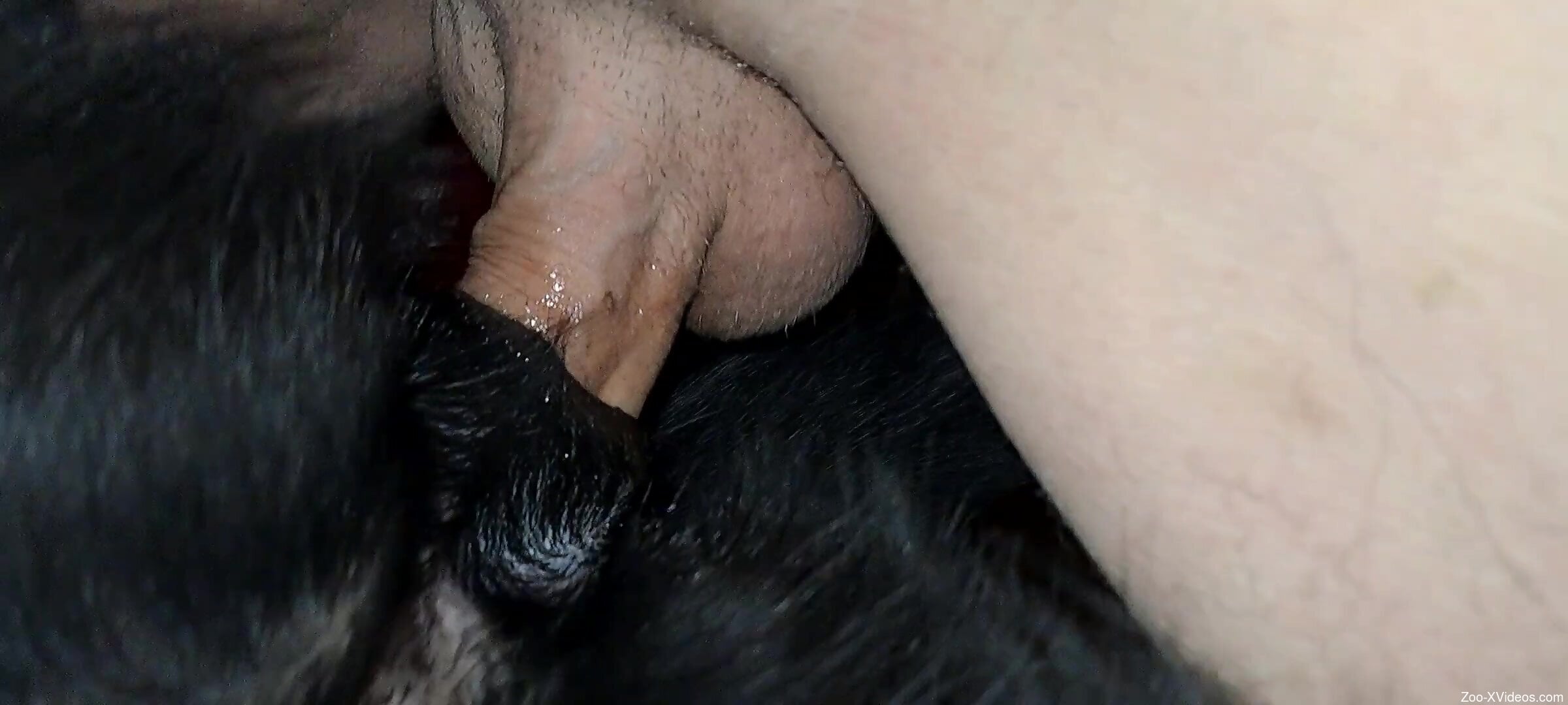 Dude uses his cock to give this beast orgasms