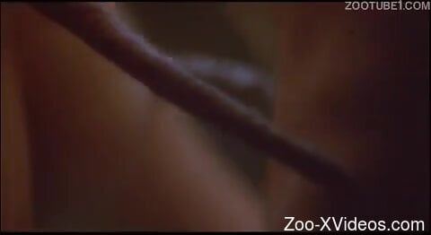 Energized woman tries naughty marine fetishes