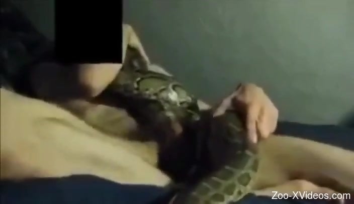 Dude fucking an actual snake in front of the camera