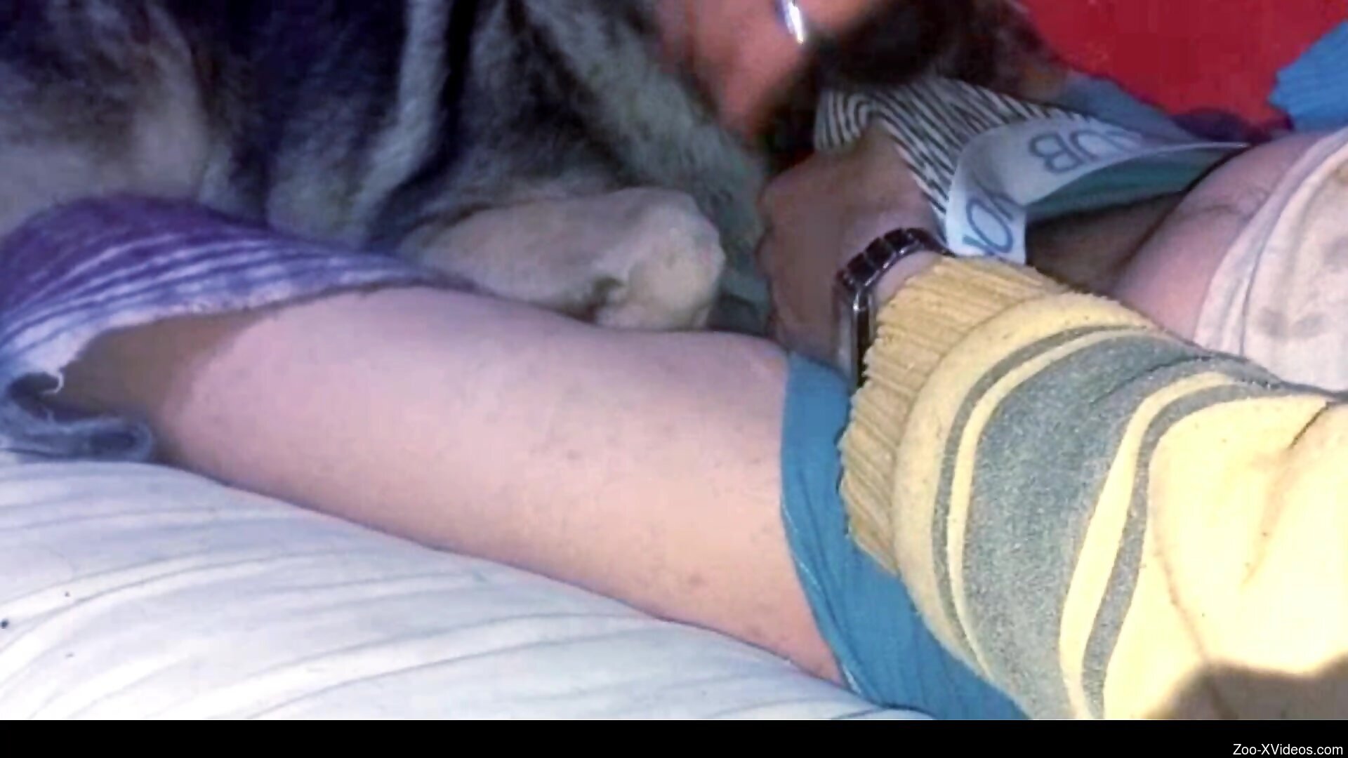 Awesome section showing a horny dog that loves D