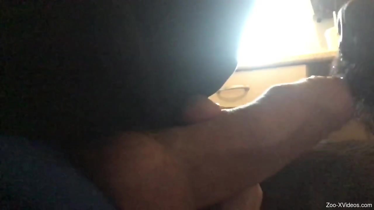 Dude whips out his penis to tease the animal happily