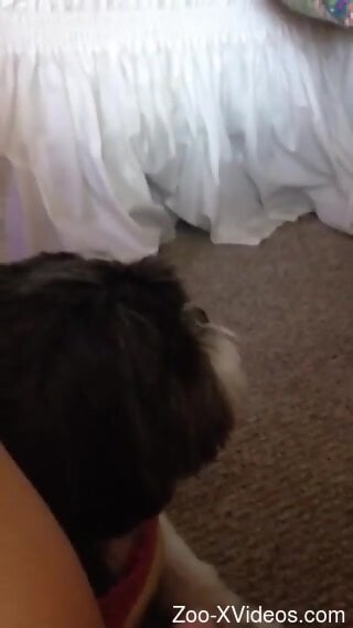 Hot woman enjoys naughty moments with her small dog