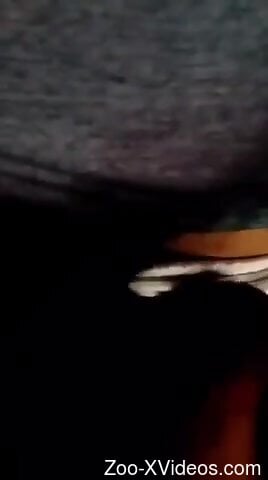 Closeup zoophilia with somewhat hectic action