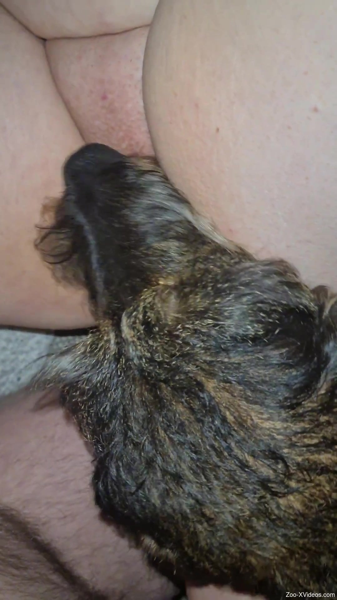 Hot animal is letting that pussy get as wet as possible