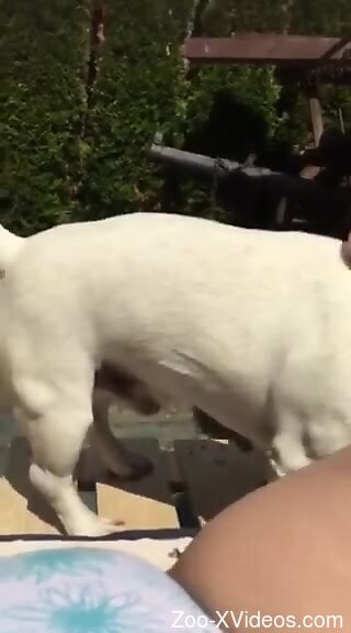 Nude outdoor dog porno makes naked woman very pleased