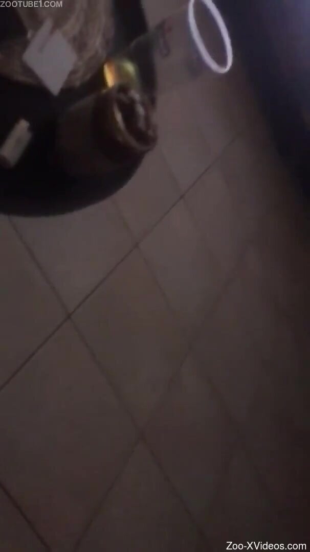 Aroused man masturbates and tries zoo sex with the dog