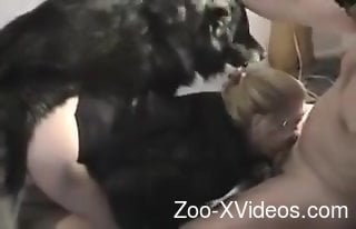 Big ass blonde woman cam fucked by the furry dog