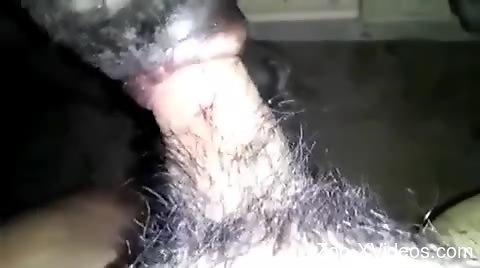 Dude buries his hard cock in this animal's tight hole