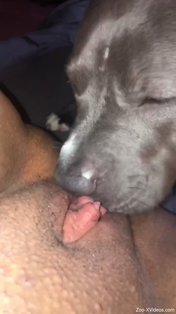 Hot bitch is going to get licked by a dirty doggo