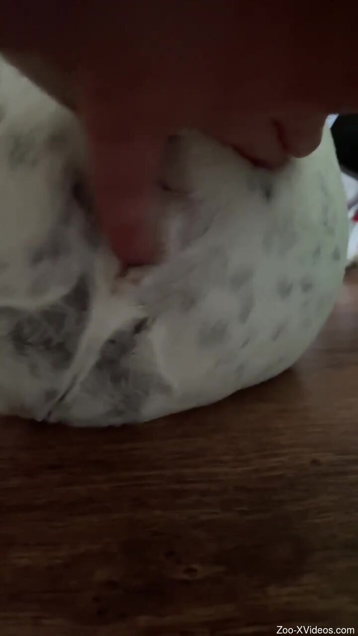 Sexy animal appreciates fingering and orgasms