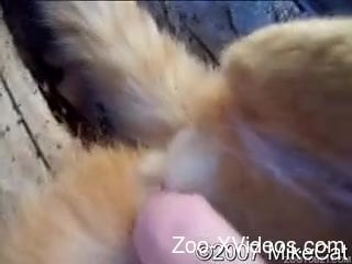 Watch me playing with a tight anus of an animal