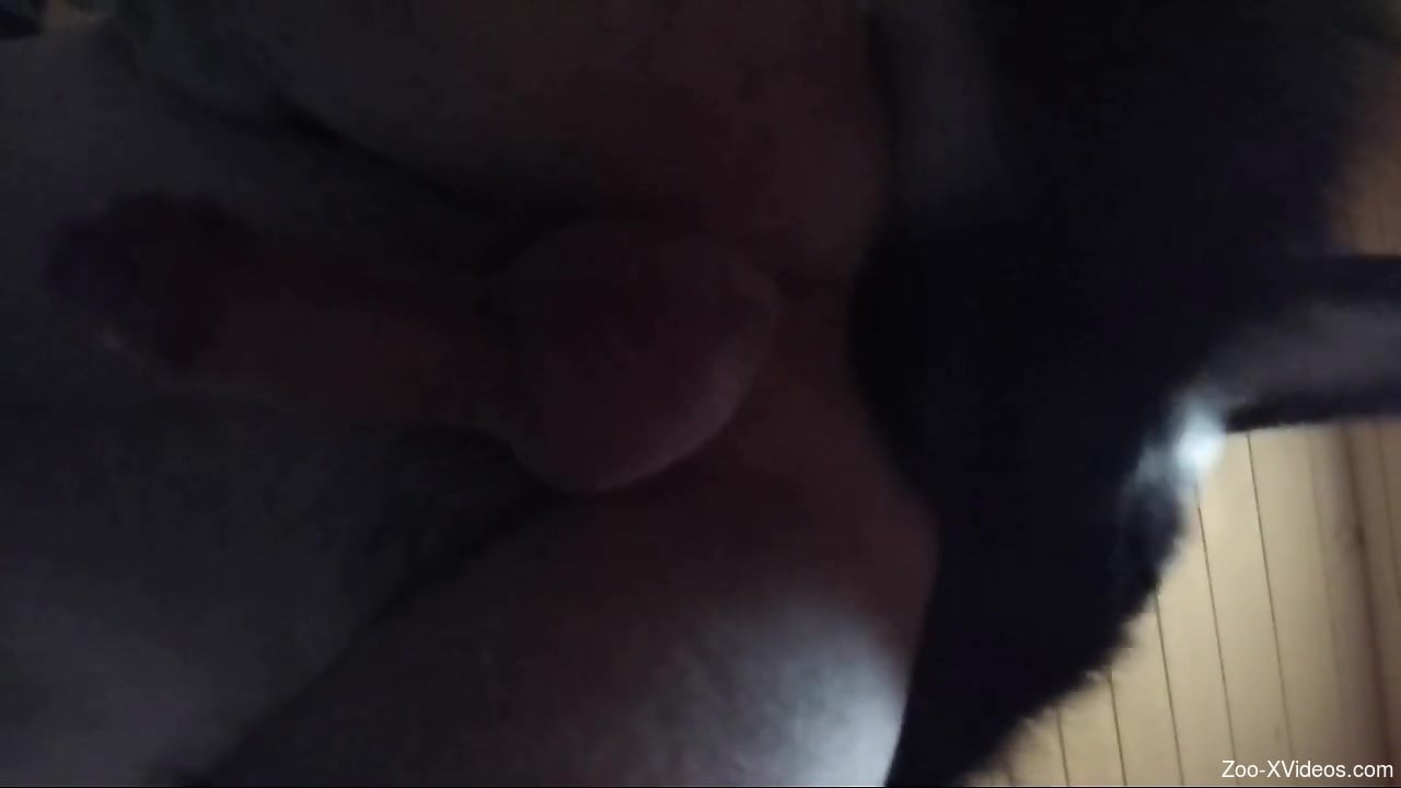 Black dog tenderizing this guy's phenomenal ass