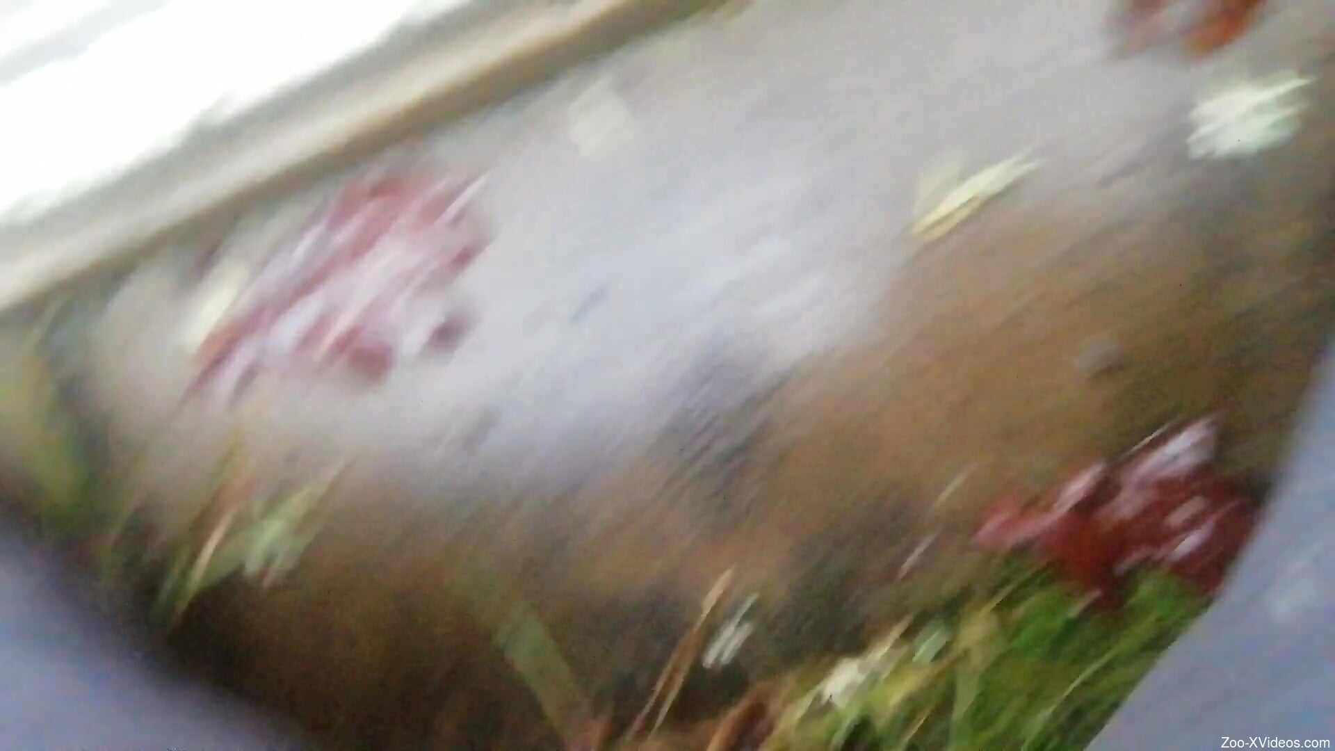 Horny amateur man involves dog in serious blowjob scenes