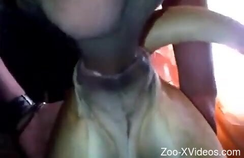 Tight animal hole getting ruined by a hung dude