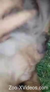 Dude enjoying bestiality with a sexy animal here