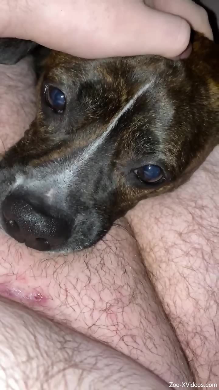 Poor animal nearly suffocates during violent oral