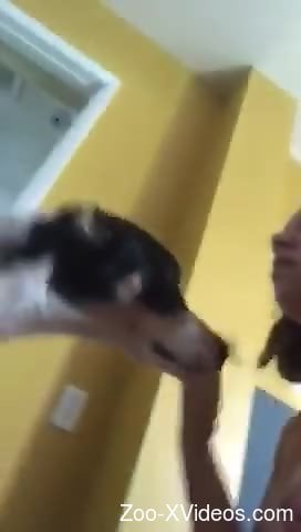 Young beauty gets her nipples licked by a horny dog